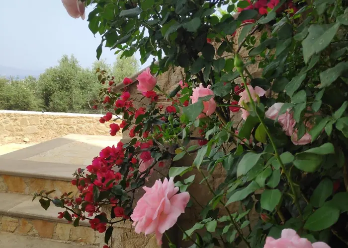 Xenia\'S Countryside Guesthouse