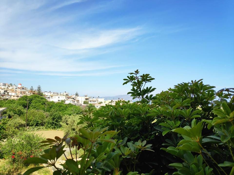 Xenia's Countryside Apartment Agia Marina (Crete)